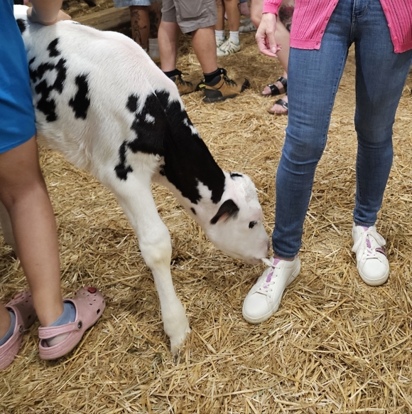 About Me - Picture 2 of 13